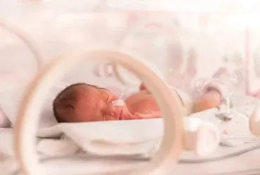 nicu.jpg