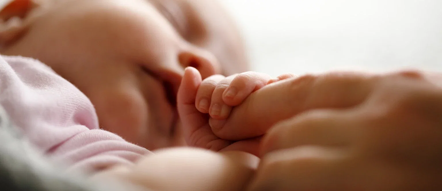 Sleeping newborn in pink blanket holding a parent
