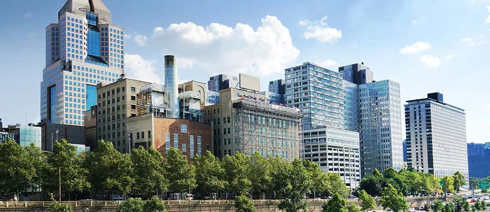 Downtown Pittsburgh skyline viewed from across a road, showing a mix of modern glass office towers and older brick buildings lined with mature green trees
