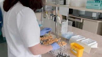 Lab technician in gloves processing blood sample tubes in medical testing facility